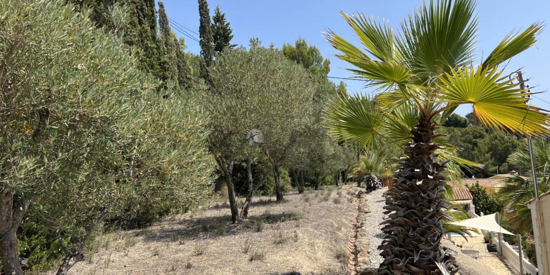 Villa Cost-A Blanca بينيسا المظهر الخارجي الصورة